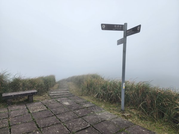 小百岳No.82⛰灣坑頭山3003072