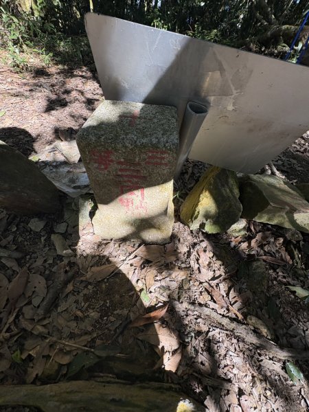 20251116鳴海山、網子山登山步道2938379