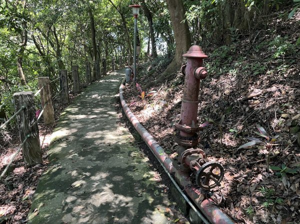 [跟著2025雙北世壯運探索雙北市-7/21] 2025_0615 疾風足球道（輔仁大學－明志路二段2814986