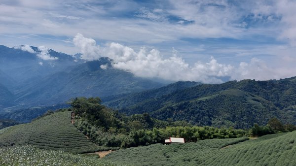 雲嘉九連峰1438955