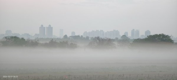 #觀音山 #夕陽 #夜景 #林梢步道 #關渡平原 #輻射霧  2/213003246