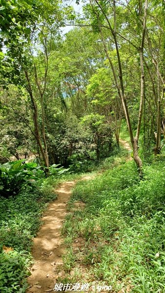 【南投草屯】蝴蝶紛飛可惜抵擋不了低海拔蚊子攻擊。 虎山步道x中興新村2856652