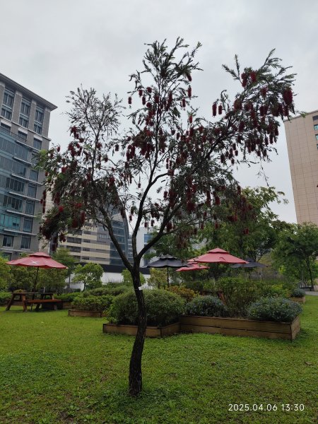 台北漢來大飯店、宏匯瑞光廣場、大港墘公園2754558