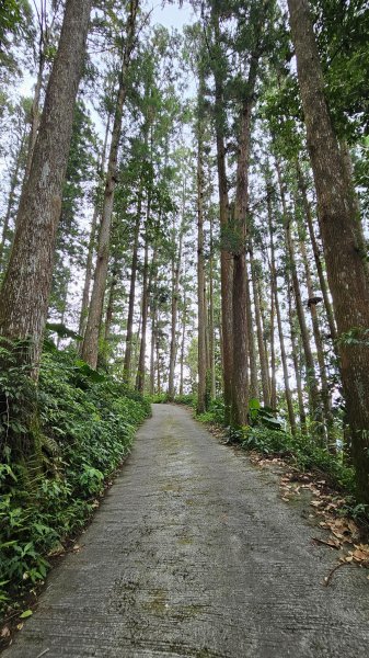 【絕版路線請勿跟進】十字路走得恩亞納-大O繞13.4K2791577