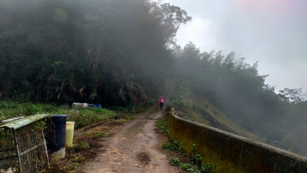 大湖尖山-原路來回1267739