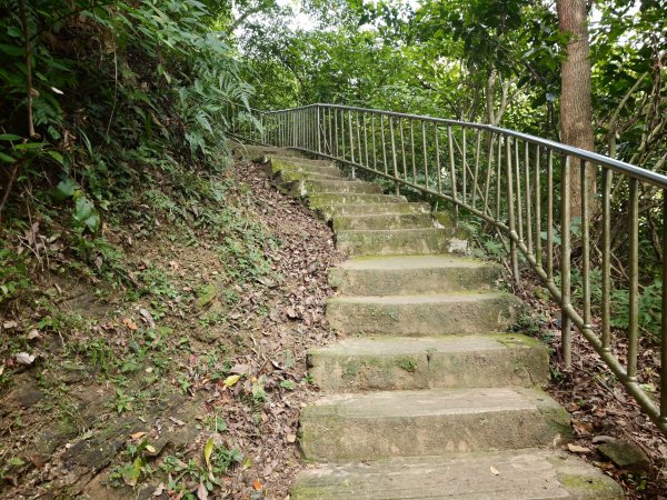 [淡蘭古道] 2026_0523 南路第一段_糶米古道3069476