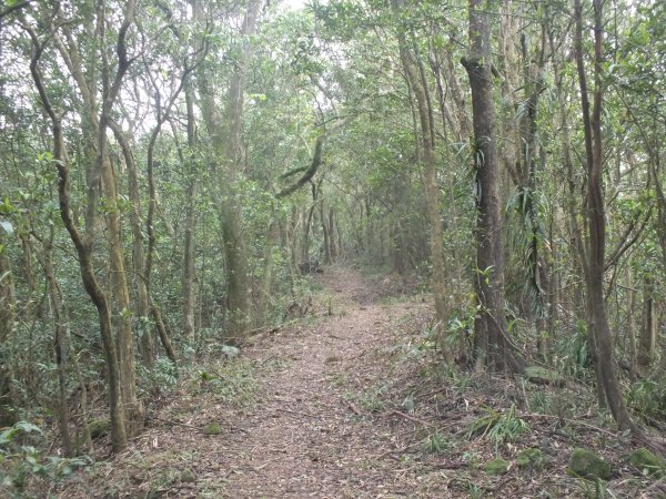 百二階古道+苕谷瀑布+逸仙山+泰和樓2734463