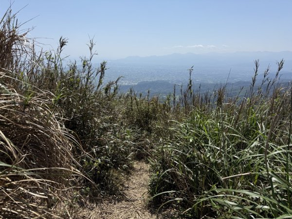 2025/03/21 聖母山莊 抹茶山 三角崙山2935126