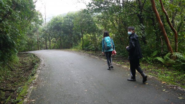 暖東舊道登山健行趣(淡蘭中路TK2-3)1616712