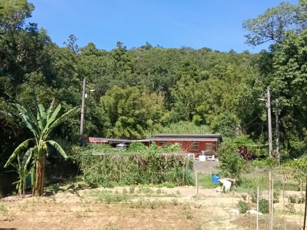 坪林區南闊瀨行(枋山坑古道+枋山坑崙+闊瀨越嶺保甲路O型)2916783