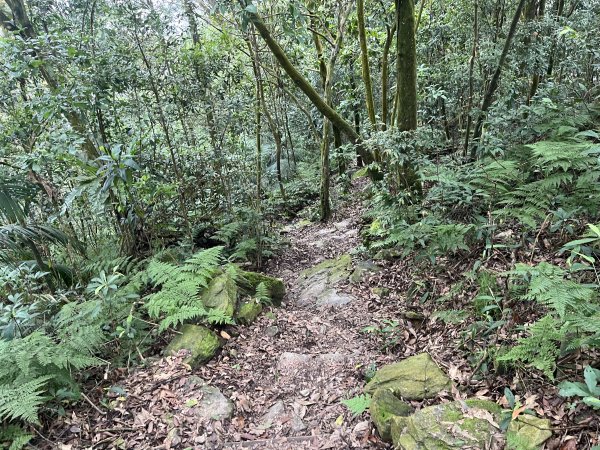 [屏步青雲 尋寶任務-02/10] 2024_0916 尾寮山登山步道2597397