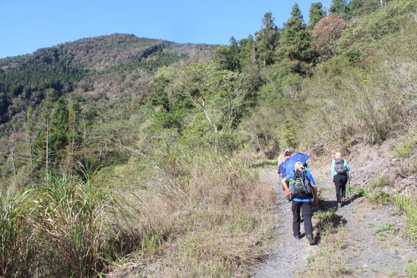 20230506高雄石南山京大山縱走2144972