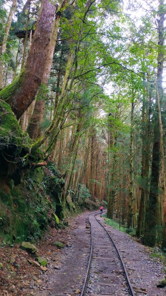 山林美境尋寶石特富野古道202009031090796