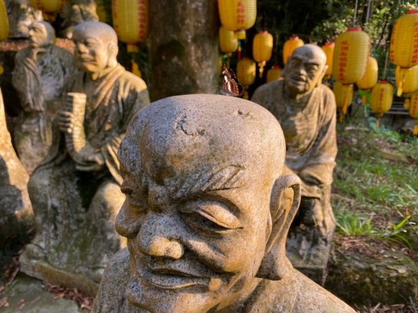 大橫屏山.禪機山仙佛寺【帶刺的外表 溫柔的內在】1527972