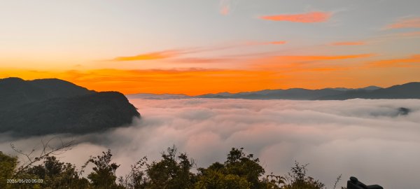 #新店四十份 #翡翠水庫壩頂 #日出 #雲海 #火燒雲 #藍腹鷴 5/203057622