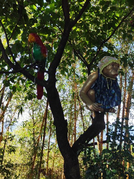 微笑山線：【大棟山系】405高地段2874154