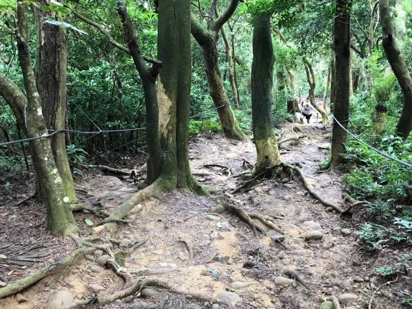 飛鳳山觀日坪連走中坑山388268