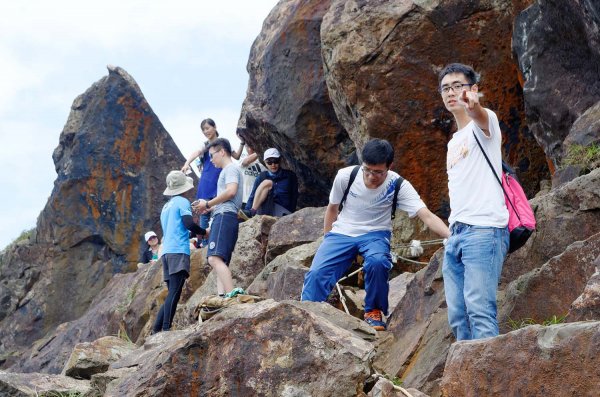 無耳茶壺山。黃金三稜539667