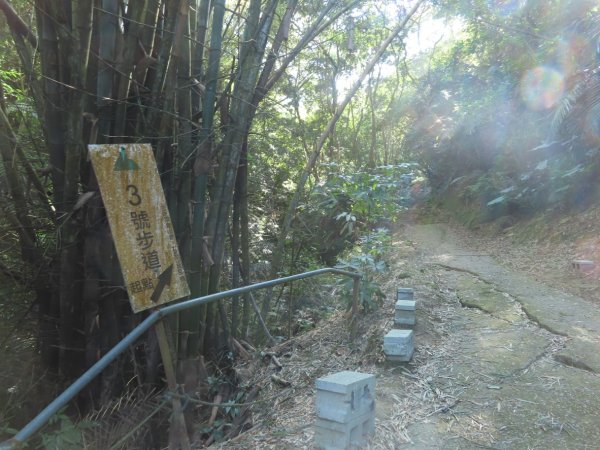 豐原三崁頂健康步道3上2下O形2696135