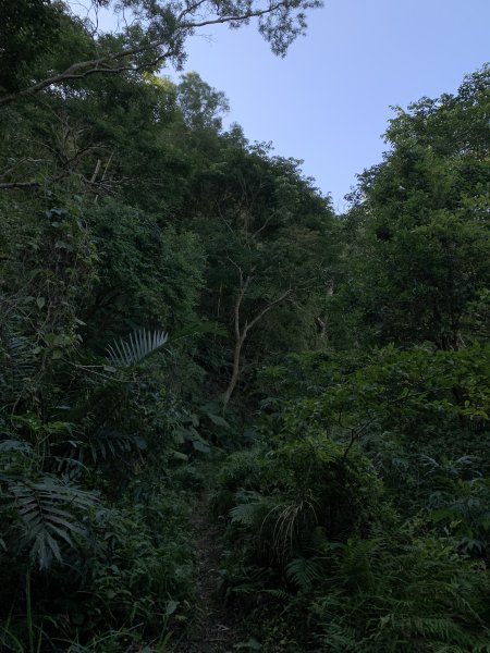 20250130屏東北湖呂山-古華山2705895