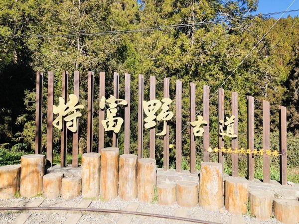 夜宿《特富野古道》衫林涼徑之連假遊記