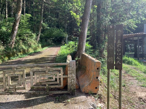 惠蓀林場渉水步道與山嵐小徑1043088