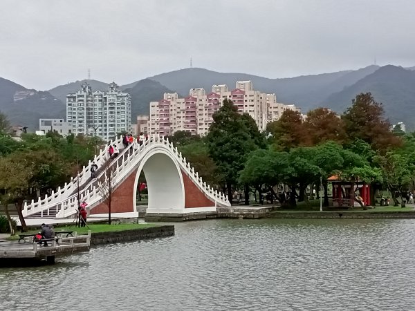 大湖公園《門庭若市》1903723