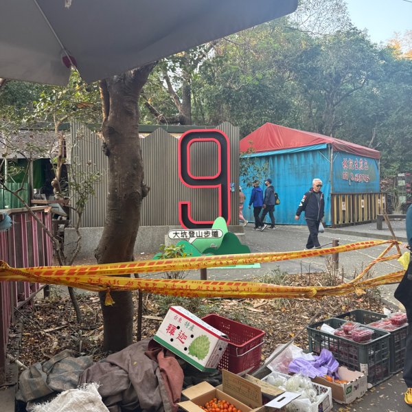 20260218 台中－臺灣百大必訪步道大坑9、10號步道3006443