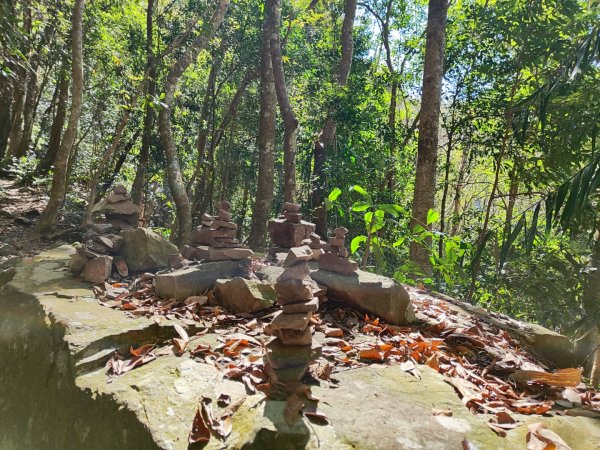 泰安鳥嘴山（上島）2689337