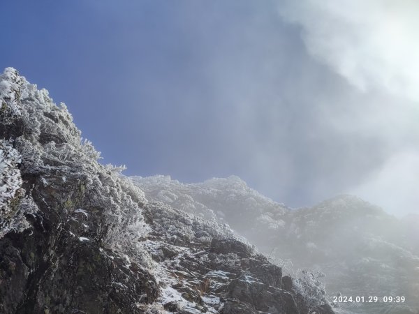 20240128~29登玉山賞雪景2420240