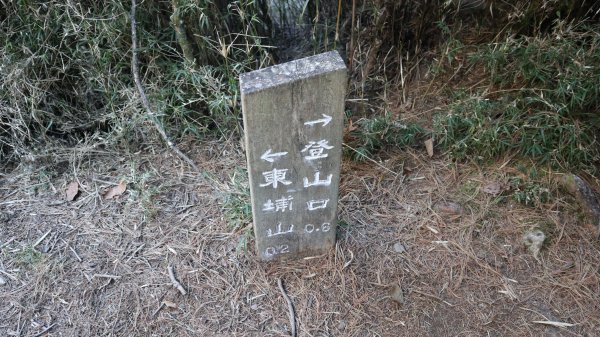 東埔山登山健行趣(中級山)2031811