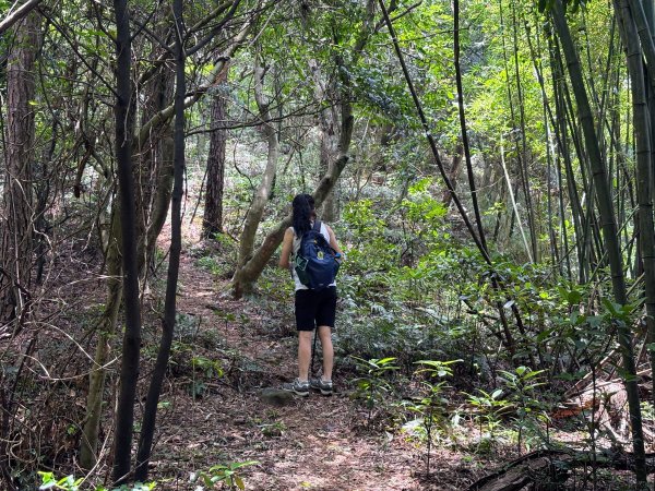 三段崎古道2835523