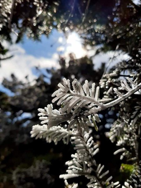 冰霜嘉明湖876726