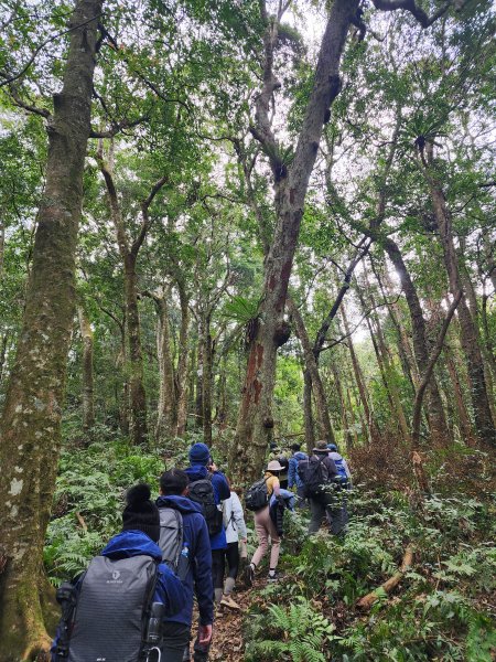 【年輕人爬山趣】大混山縱走李崠山2750849