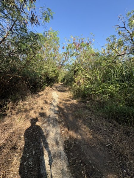 20251115壽山步道(元亨寺免費停車啟登)2938469