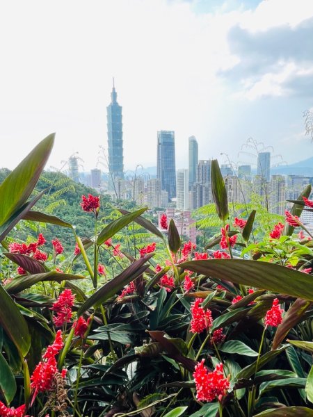 1140513象山峰-永春崗平台O繞2785599