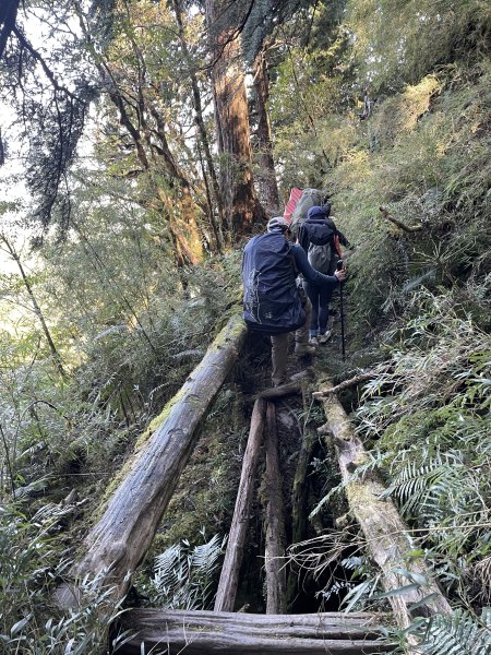 干卓萬橫斷 2024 11/29 四天三夜2865564