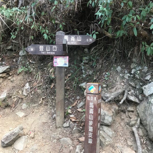 谷關七雄 馬崙山（老二）2023.03.042051366