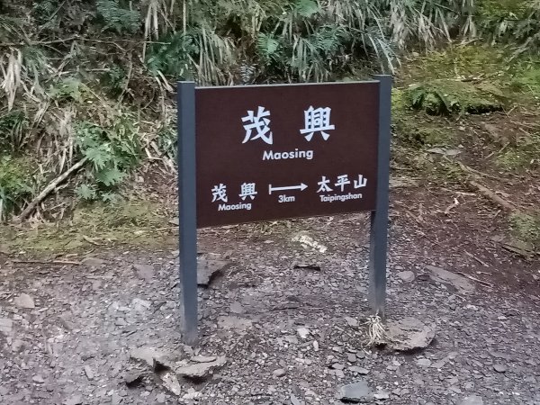 茂興懷舊步道1292993