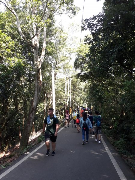 彰化員林臥龍坡環藤山步道20190714629483