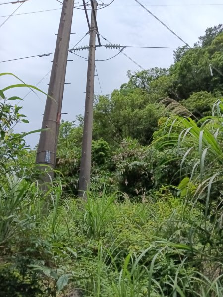 瑞芳區瑞芳四秀(白象山+秀崎山+瑞芳山+龍潭山)2785217
