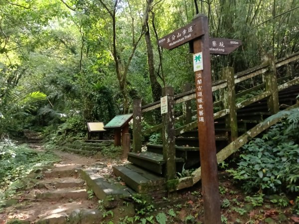 基隆市暖東舊道+頂子寮山+五分山步道(五分山)去回2946200