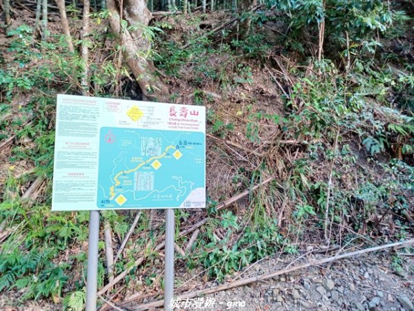 【台中和平】山林野餐。長壽山(肥崠山)山徑2969429