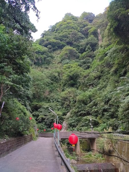 1121104貴子坑親山步道3099492