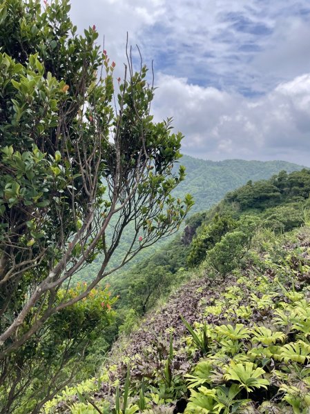 司公髻尾山2802981