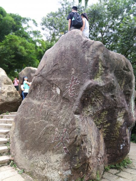 城市裡就能感受山林綠意~象山親山步道778684