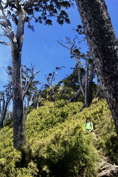 作伙來去北大武304405