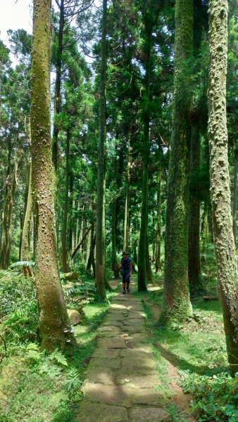 北縱走(劍潭到七星山)632361