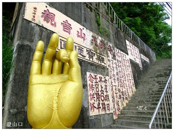 大坑/觀音山(小百岳)626909