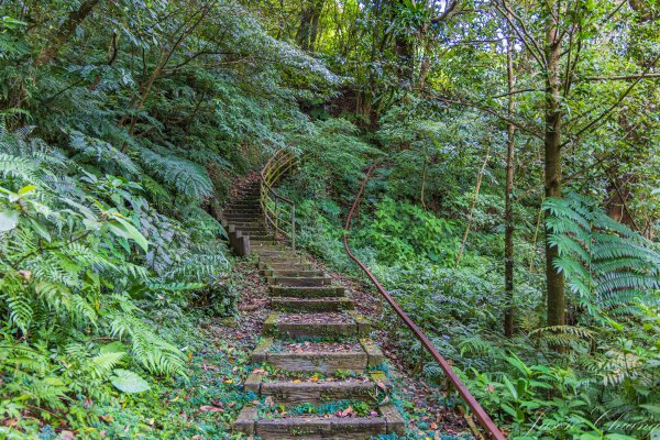 [新北]土庫岳更寮古道2575830